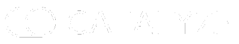 Catalyze